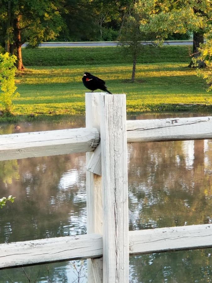 Drakes Creek Inn - Formerly The Relax Inn Hendersonville Buitenkant foto